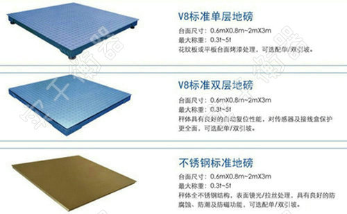 倉(cāng)儲(chǔ)單層地磅秤