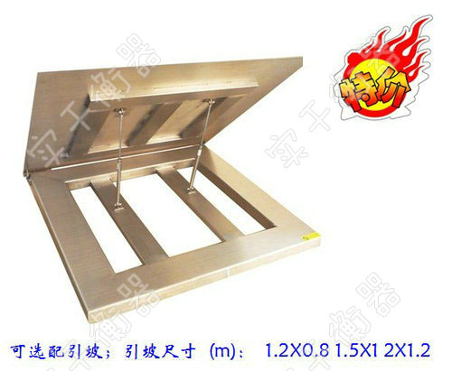 可以拆洗的電子地磅